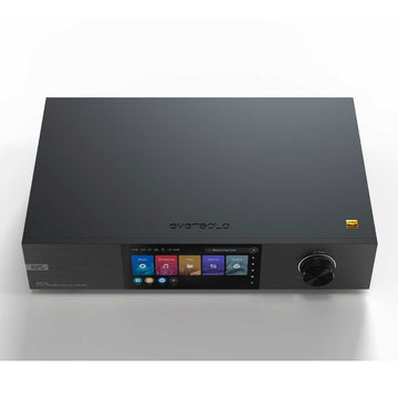 EverSolo DMP-A8 general