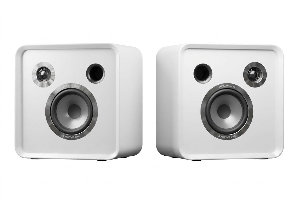 EverSolo SE100