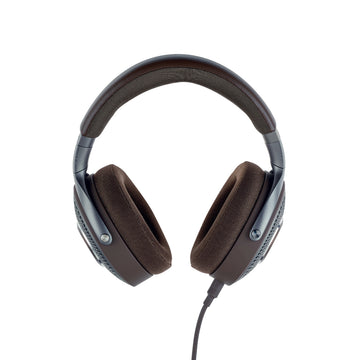 Focal Hadenys frontal