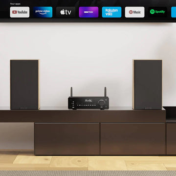 Arylic B50 - Reacondicionado