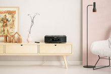 Cargar imagen en el visor de la galería, Hegel H390
