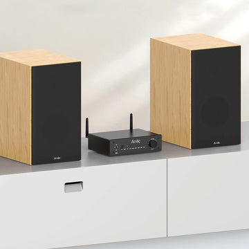 Arylic B50 - Reacondicionado