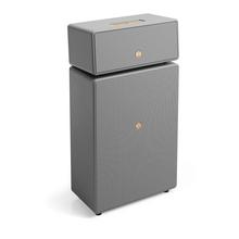 Cargar imagen en el visor de la galería, Audio Pro Drumfire II gris

